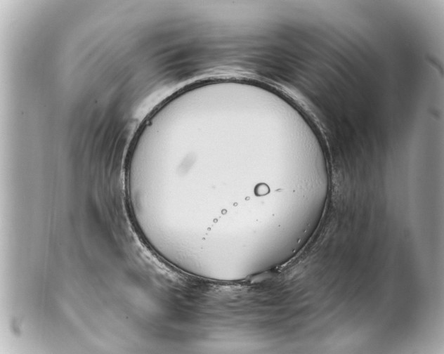 X0000101681335200807311511