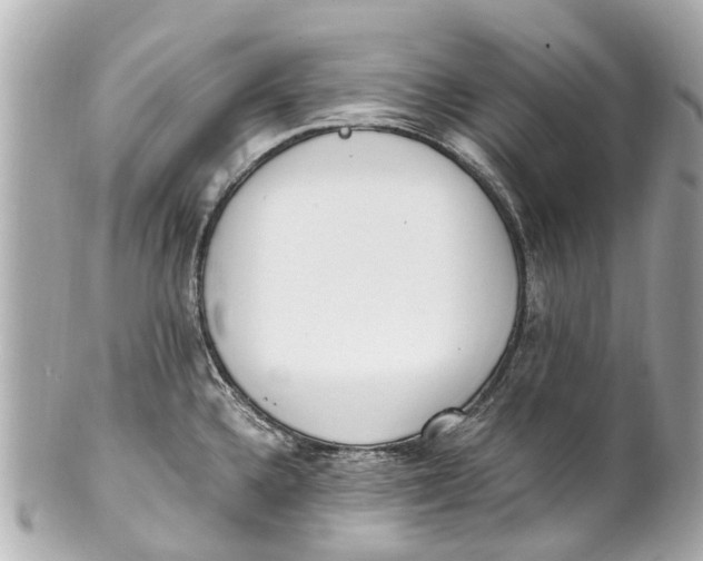 X0000101681336200807311511