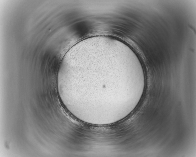 X0000101681337200807311511