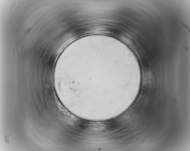 X0000101681338200807311511