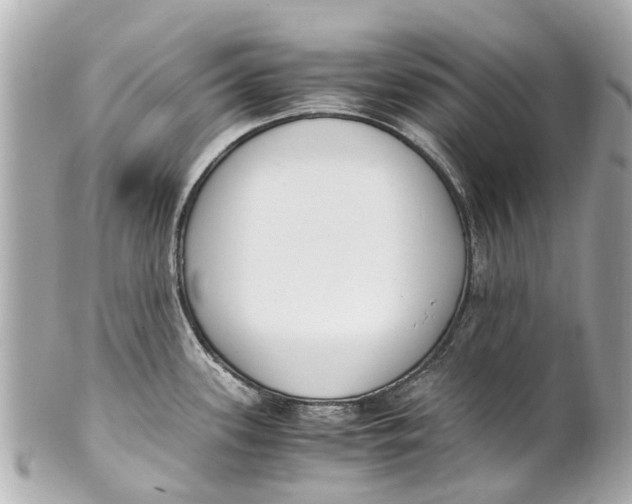 X0000101681339200807311511