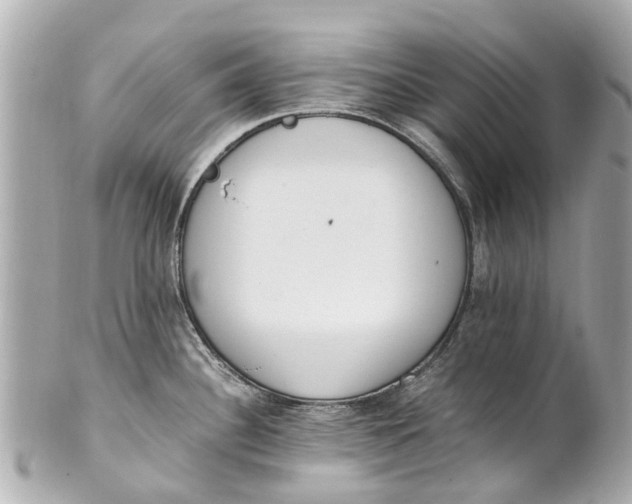 X0000101681340200807311511