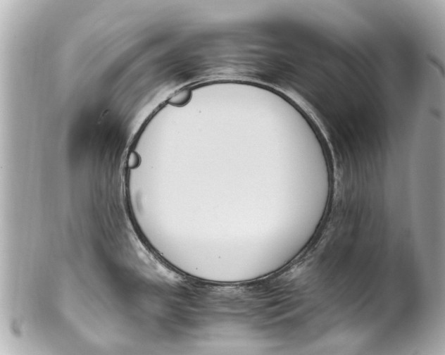 X0000101681341200807311511