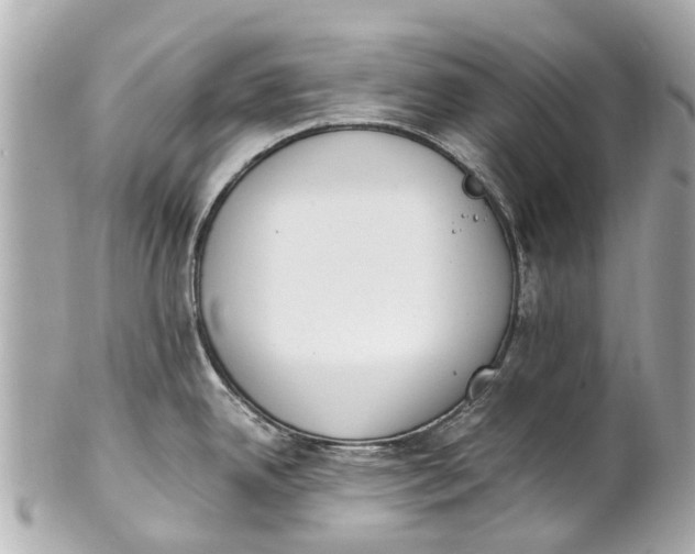 X0000101681342200807311511