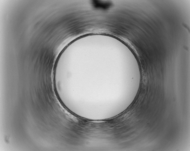 X0000101681343200807311511