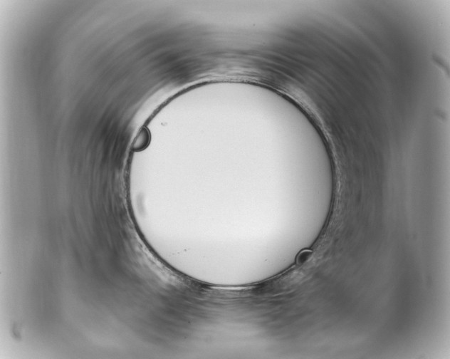 X0000101681344200807311511