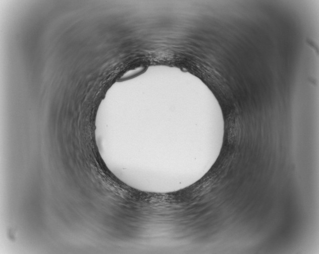 X0000101681345200807311510