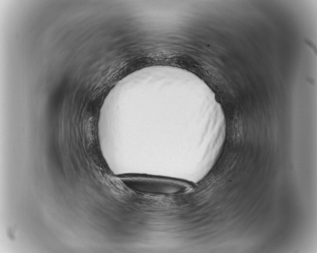 X0000101681346200807311510