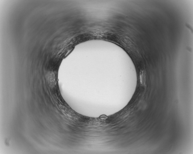 X0000101681347200807311510