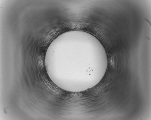 X0000101681348200807311510