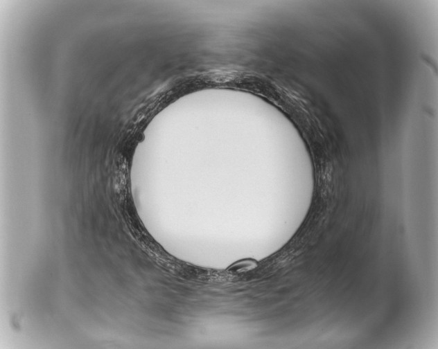 X0000101681349200807311510