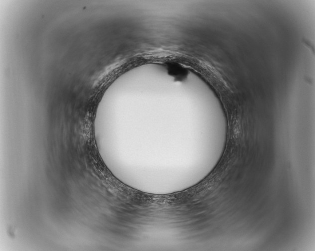 X0000101681350200807311510