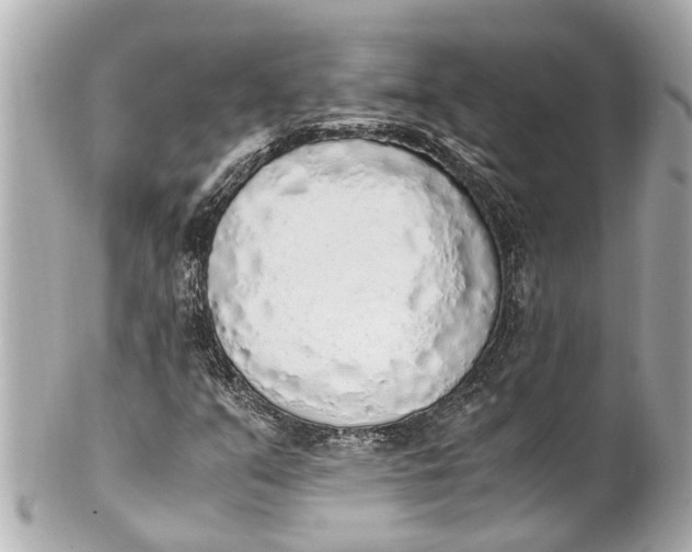 X0000101681351200807311510