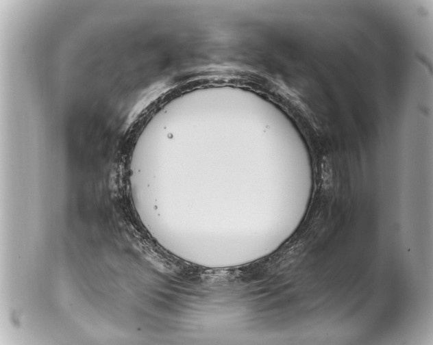 X0000101681352200807311510