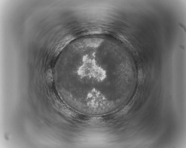 X0000101681353200807311510