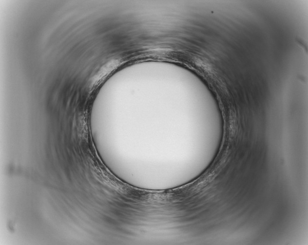 X0000101681354200807311510