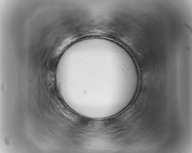 X0000101681355200807311510