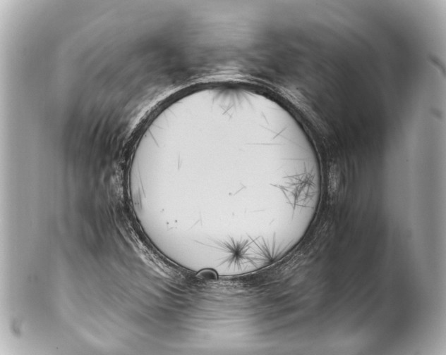 X0000101681356200807311510