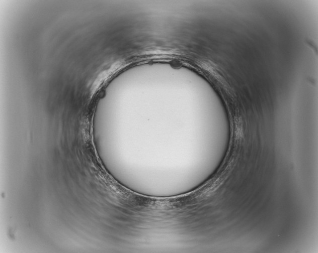 X0000101681357200807311510