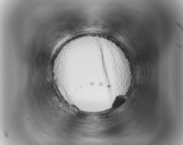 X0000101681358200807311510