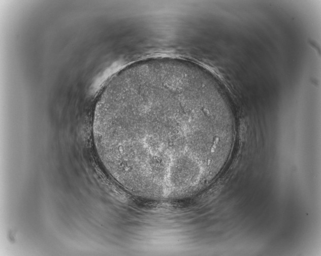 X0000101681359200807311510