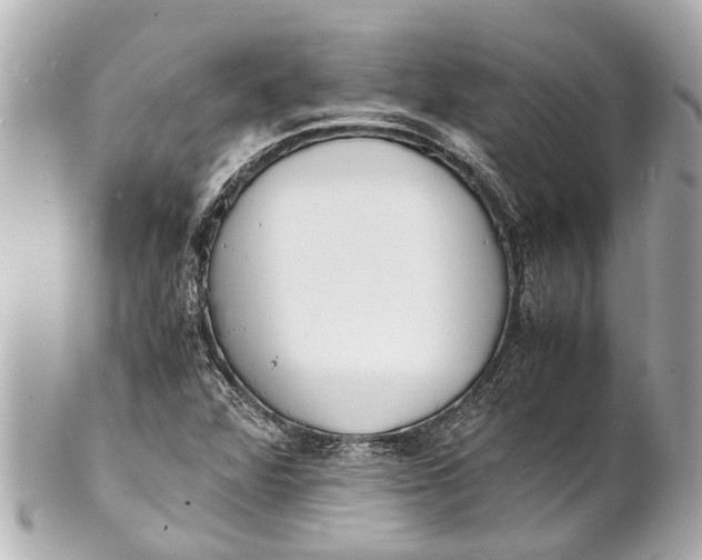 X0000101681360200807311510