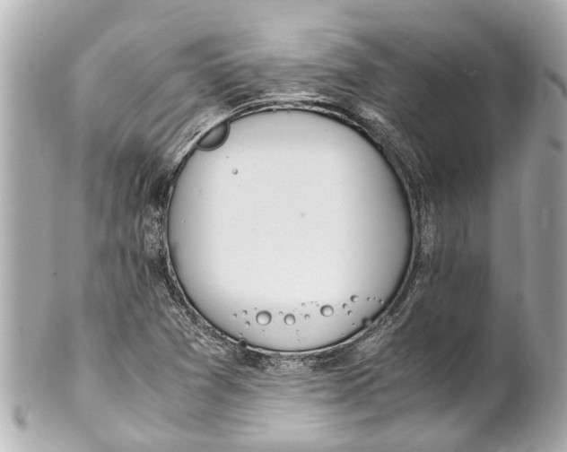 X0000101681361200807311510