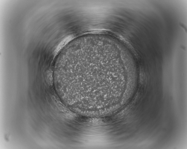 X0000101681362200807311510