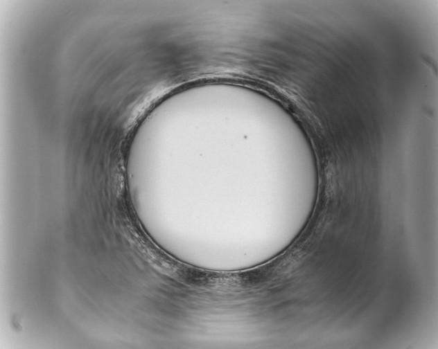 X0000101681363200807311510