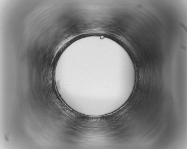 X0000101681364200807311510