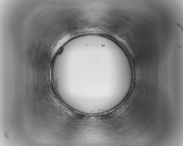 X0000101681365200807311510