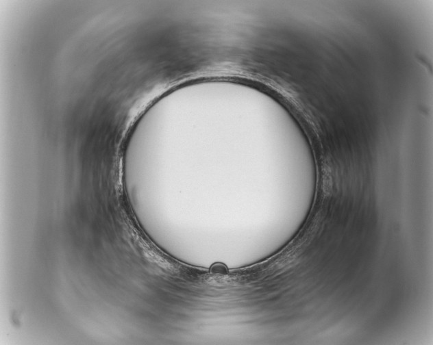 X0000101681366200807311510