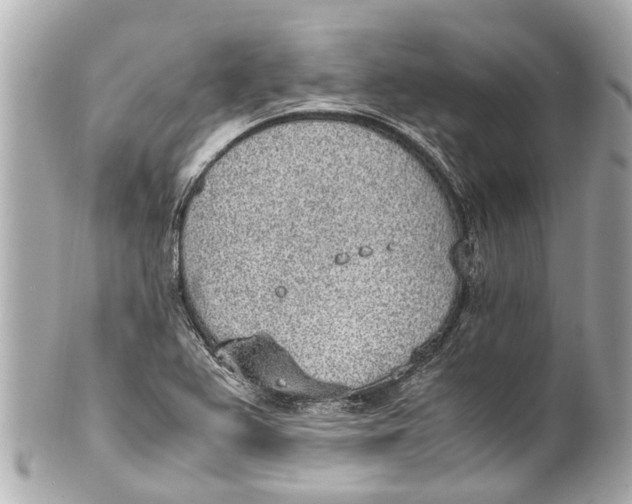 X0000101681367200807311510