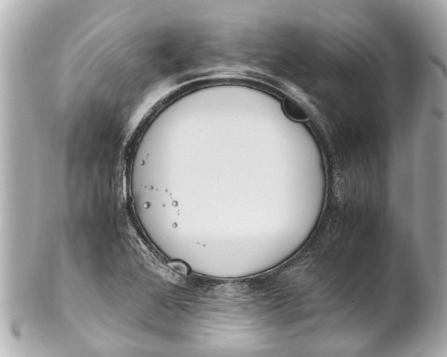 X0000101681368200807311510