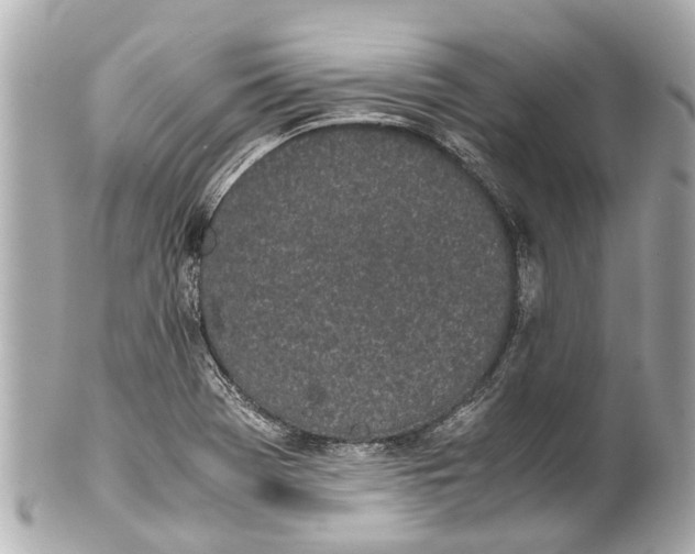 X0000101681369200807311510