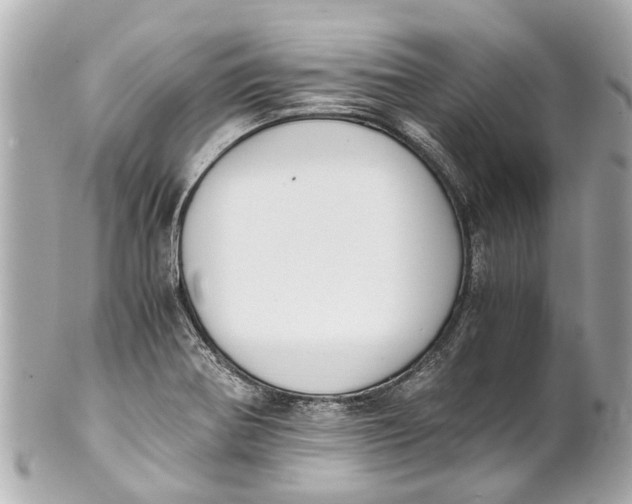 X0000101681370200807311510