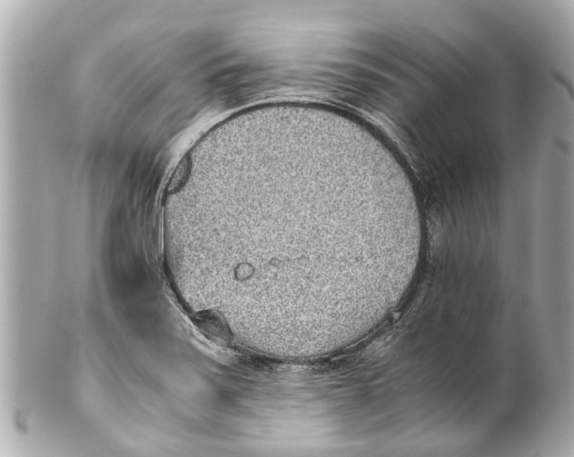 X0000101681371200807311510