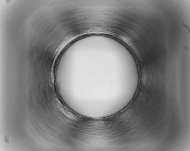 X0000101681372200807311510