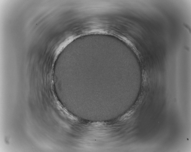 X0000101681373200807311510