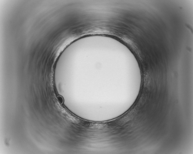 X0000101681374200807311510