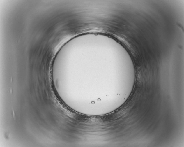 X0000101681375200807311510