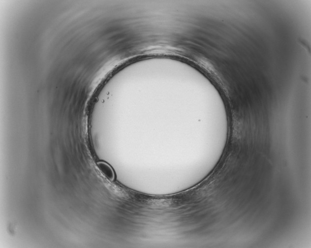 X0000101681376200807311510