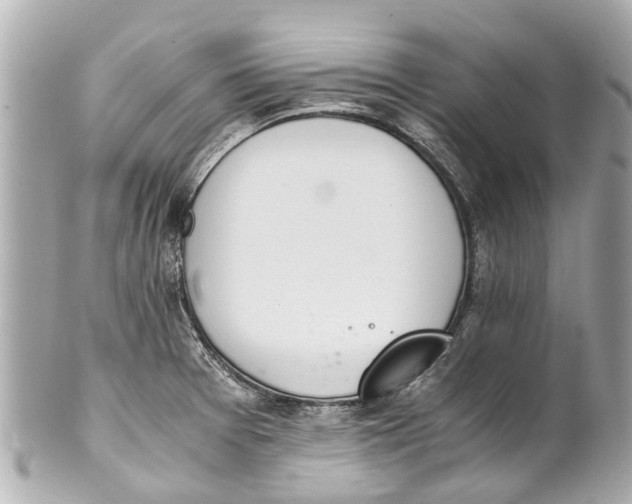 X0000101681377200807311510