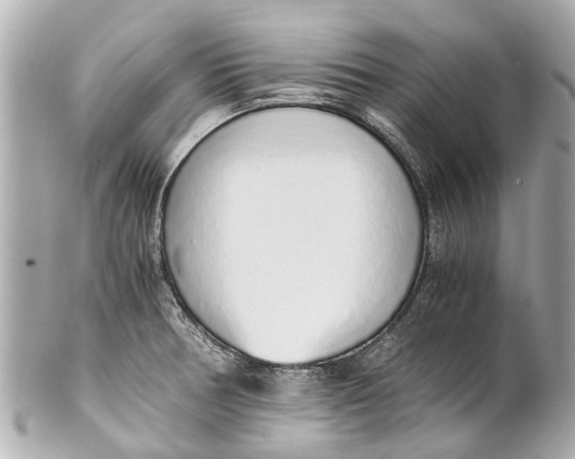 X0000101681378200807311510