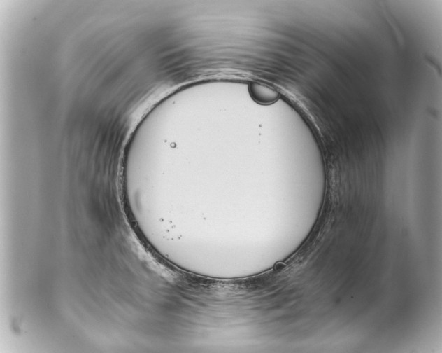 X0000101681379200807311510