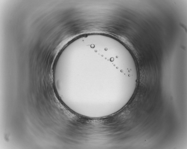 X0000101681380200807311510