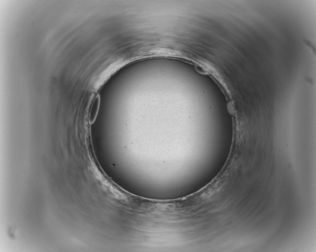 X0000101681381200807311510