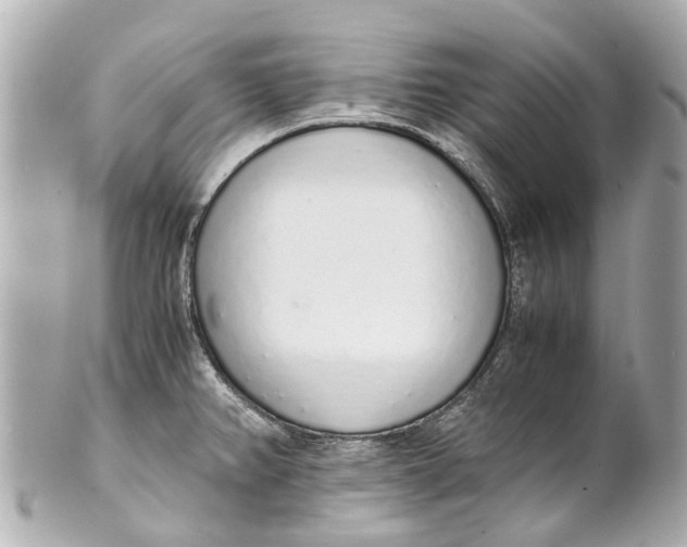 X0000101681382200807311509