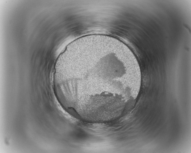 X0000101681383200807311509