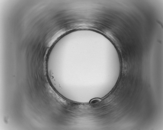 X0000101681384200807311509